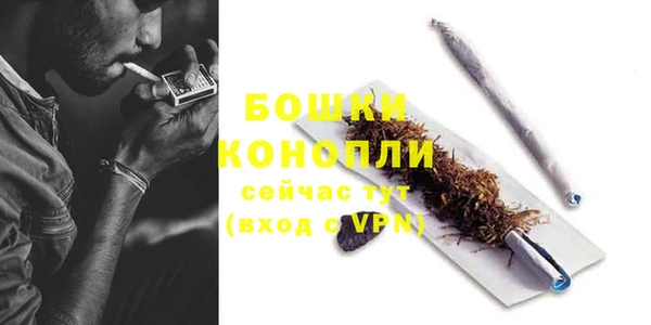 стафф Осташков